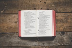 Einführung in das Buch der Psalmen, Teil 1/3