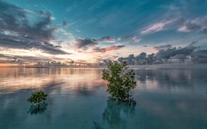 Der Ofen ist aus - die Gefahr einer erkalteten Beziehung zu Gott