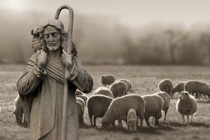 Das Herz eines fürsorglichen Hirten