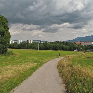 Verschwende dein Leben nicht