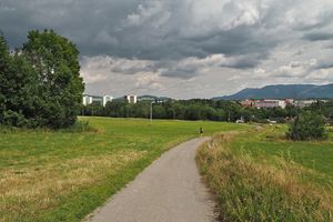 Verschwende dein Leben nicht