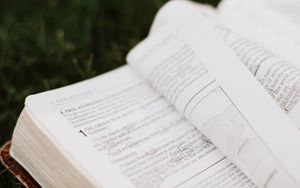 Jesus Christus, der Erste in Schöpfung und Erlösung