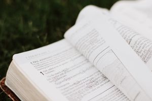 Jesus Christus, der Erste in Schöpfung und Erlösung