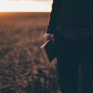 Die Bibel und das Jenseits