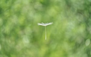 Seele - Die Frage nach dem Unbewussten (Psychologie)