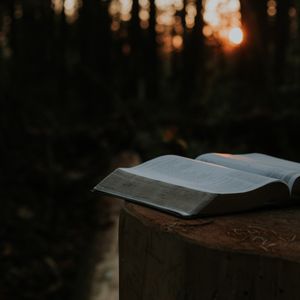 Über den Namen Jesus: Der einzigartige Name