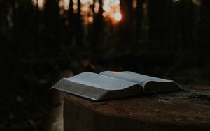 Über den Namen Jesus: Der einzigartige Name