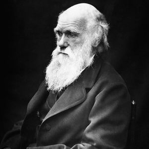 Darwin und seine Evolutionslehre - Wahrheit oder Irrtum