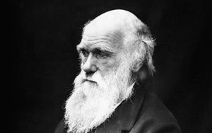 Darwin und seine Evolutionslehre - Wahrheit oder Irrtum