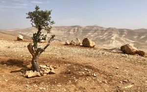Weshalb ist das Westjordanland für Israel so wichtig?