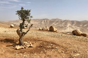 Weshalb ist das Westjordanland für Israel so wichtig?