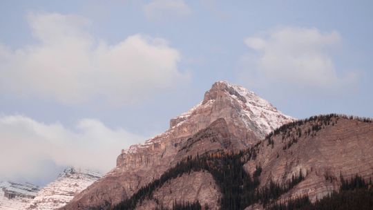 Der Psalter. Echo von der Erde