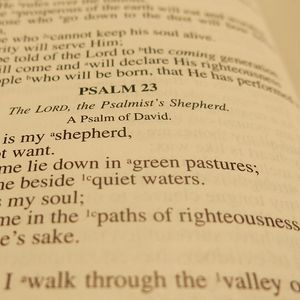 Der Messias im Buch der Psalmen