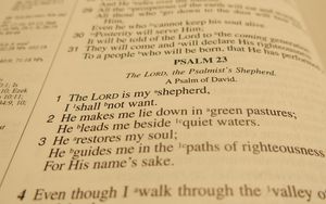 Der Messias im Buch der Psalmen