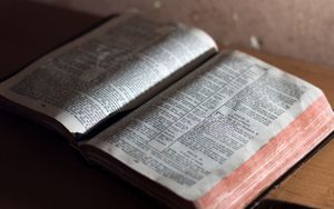 Jakobs Kinder - Jakob kommt zu Reichtum - Jakobs Flucht mit den Seinen - Sein Vertrag mit Laban