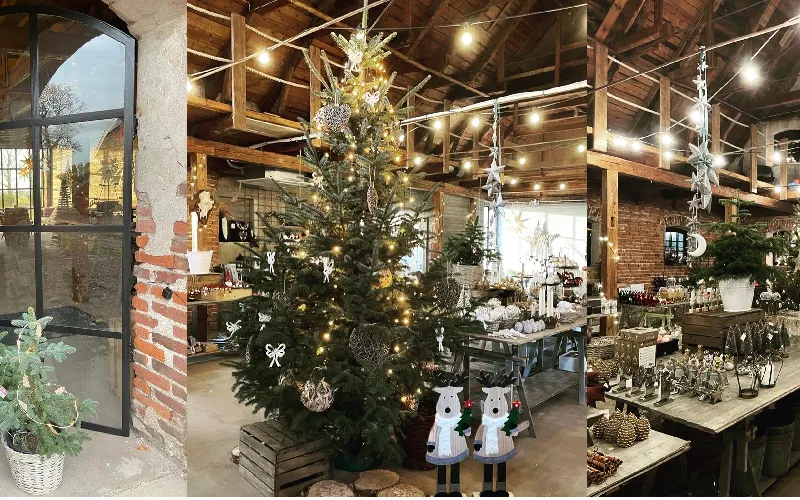 Bildbeskrivning saknas för evenemanget: Julladan i Eldsberga