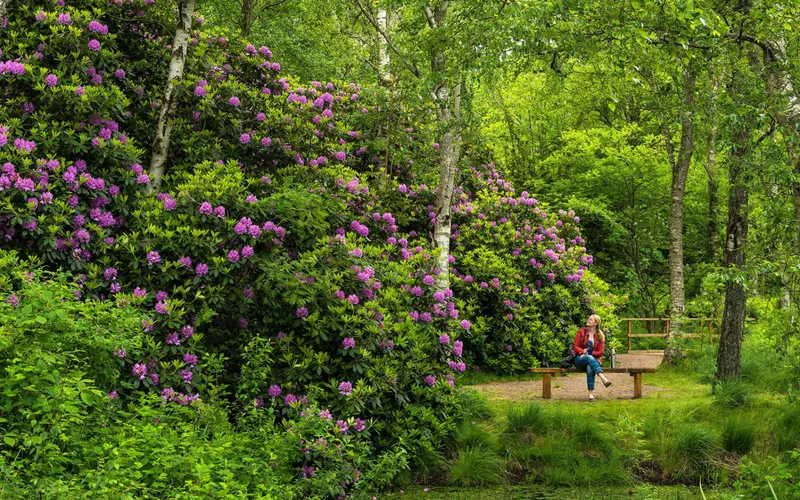 Bildbeskrivning saknas för evenemanget: Prins Bertils stig - Guidning av Naturfotograf Patrik Leonardsson