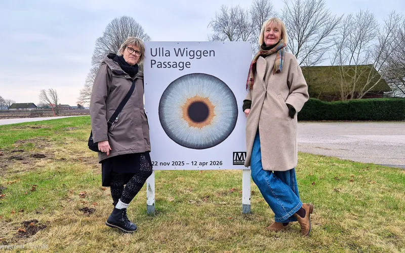 Bildbeskrivning saknas för evenemanget: Läsecirkel: Ulla Wiggen - Passage