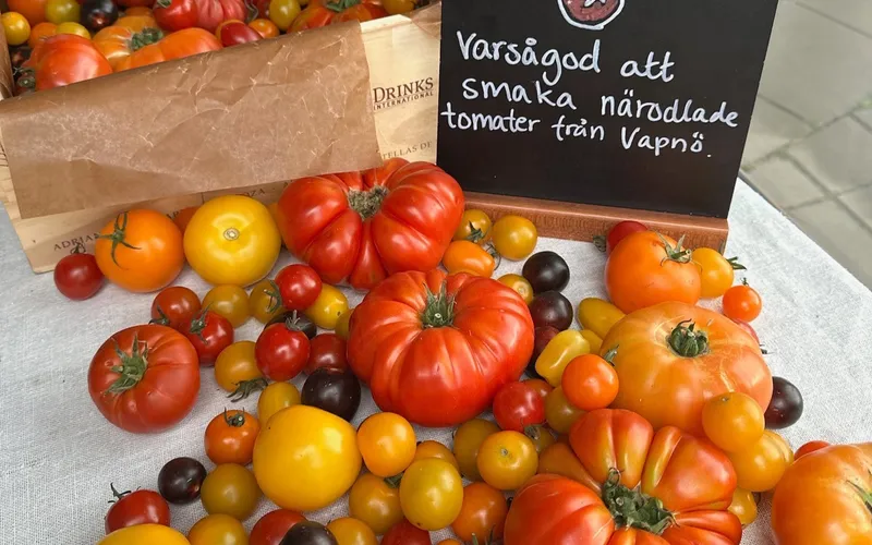 Bildbeskrivning saknas för evenemanget: Tomat- & Vinfestival