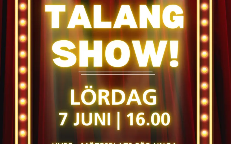 Bildbeskrivning saknas för evenemanget: Talangshow 2025