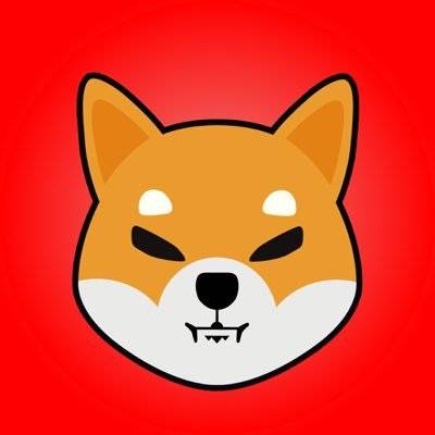 Shiba Inu