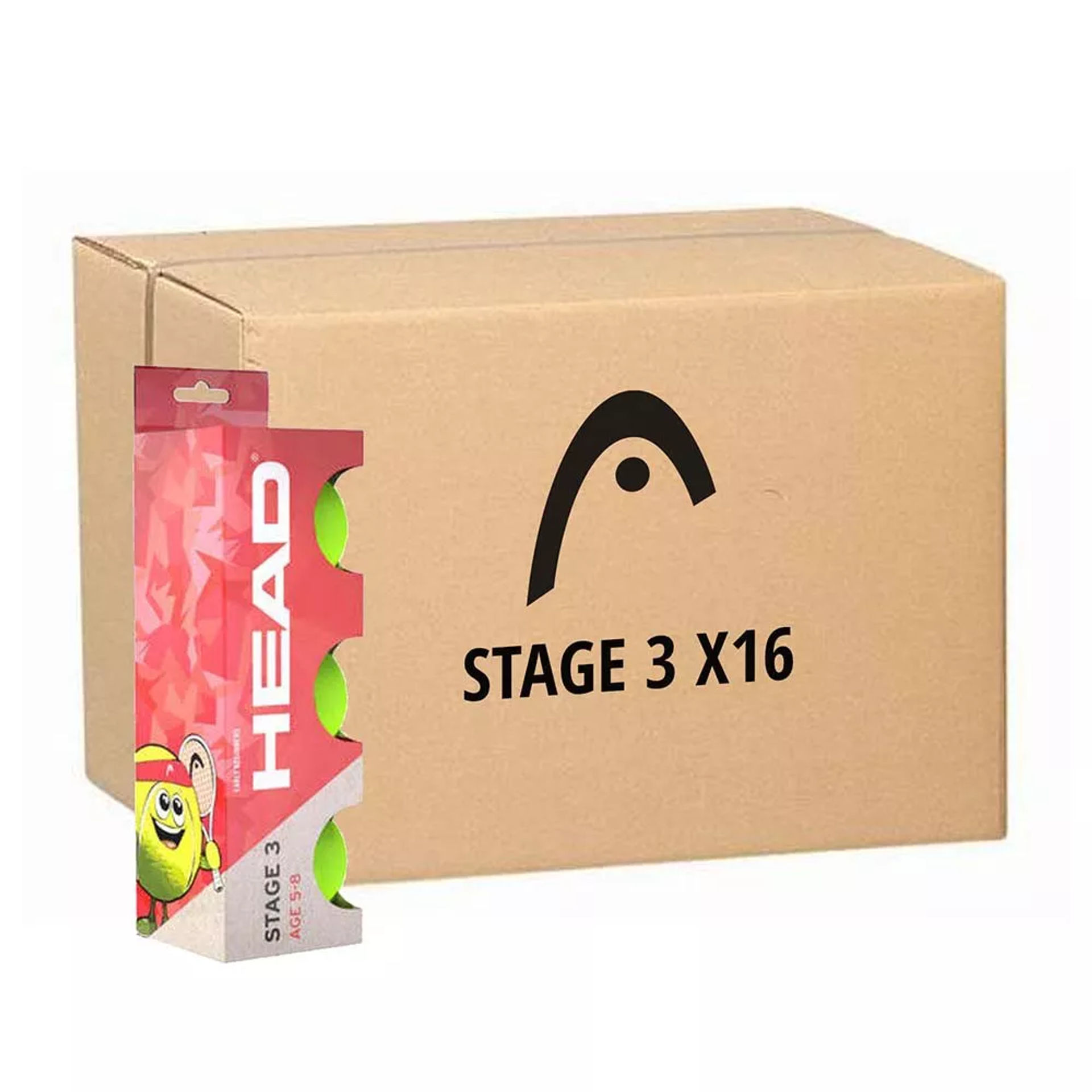 کارتون ۱۶ تایی توپ تنیس هد Stage 3 Red