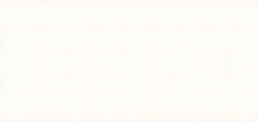 1111 Vivid White
