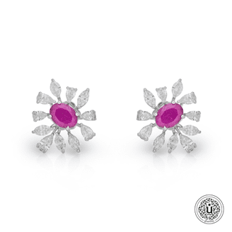 Gharenu Beautiful Earring SJ02422