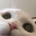 Ming