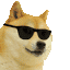 ppp