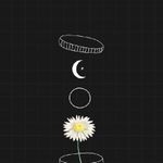 InSomnia