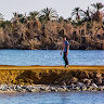Walid Sultan