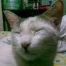 Oggy