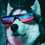 Lobo