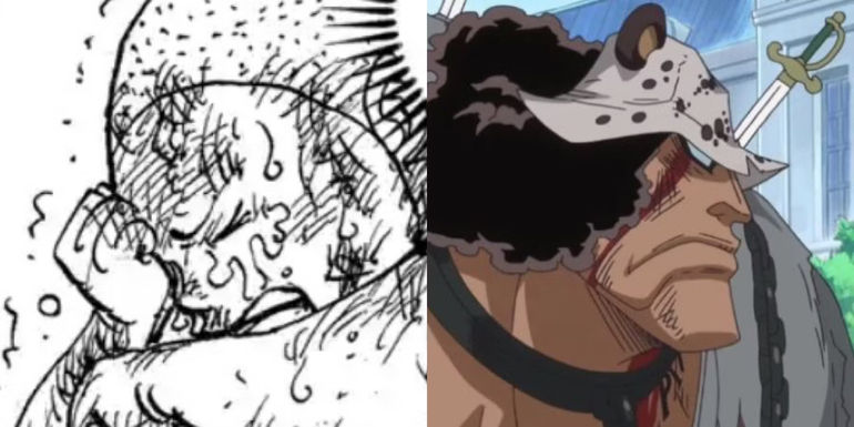 This Is Why Kuma Is Climbing the Red Line! (One Piece Theory) 