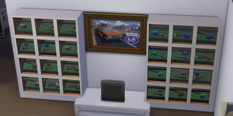 The Ultimate Guide to Building Your Perfect Frog Collection in The Sims 4