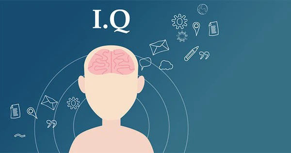 Bảng xếp hạng IQ cao nhất thế giới 2023: Việt Nam góp mặt trong top 10 danh sách?