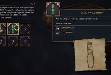 The Ultimate Guide to Mastering Potions in Hogwarts Legacy