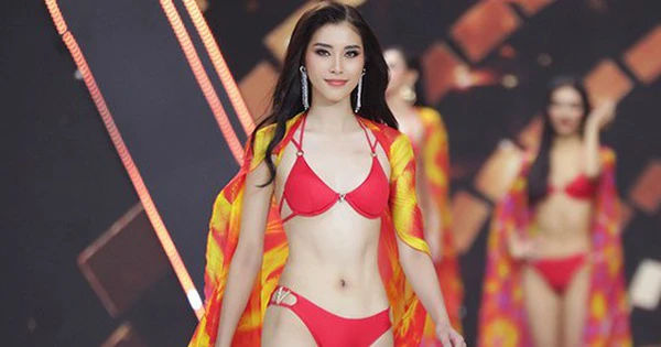 Chặng đường người đẹp từ 'hoa khôi bóng chuyền' lên đỉnh Hoa hậu Hoàn vũ