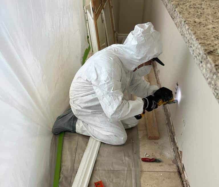 FAQS about Mold Removal Services in Deaver, WY