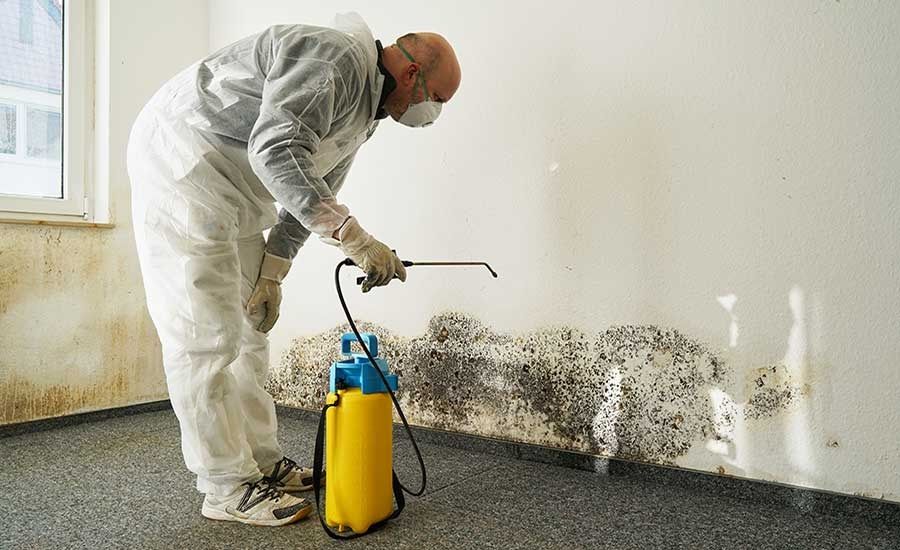 Mold Cleanup in Flat Rock, NC