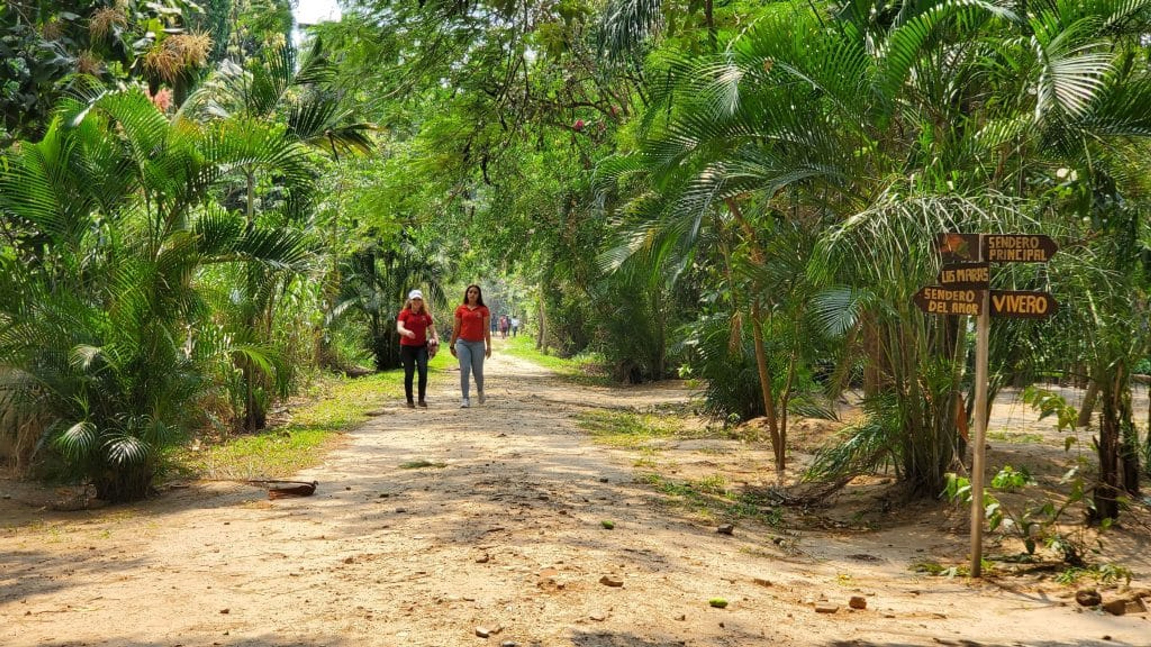 Recorrido Turístico: Conociendo el Curichi La Madre