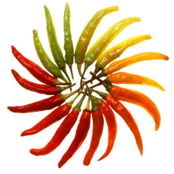foto di chef Giampietro Diana
