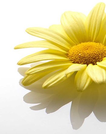 foto di chef Hannah & Elia