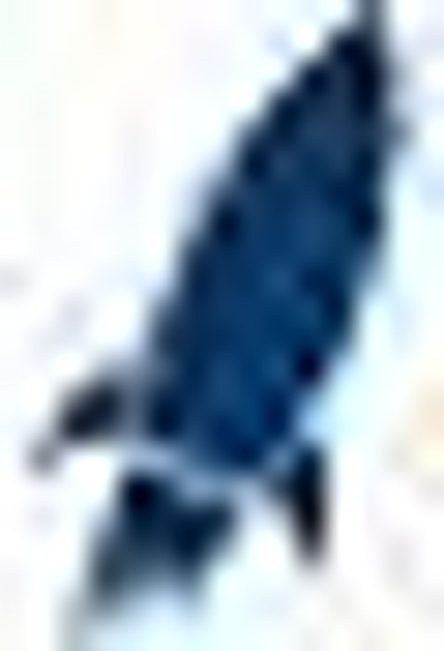 Flytothesky.ru