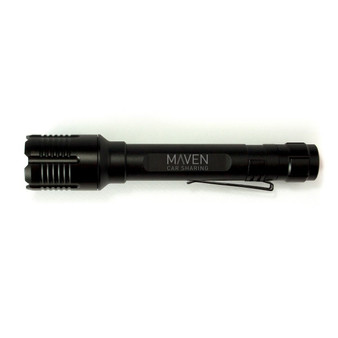 Pinpoint Flashlight Laser Pointer