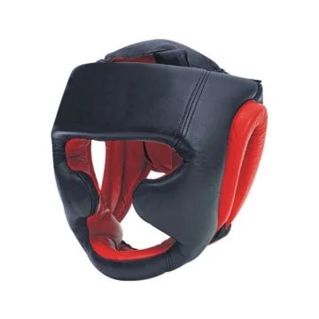 Head Guard