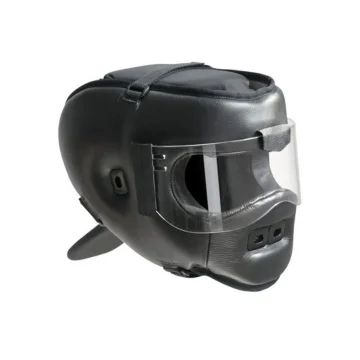Head Guard