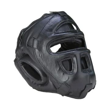 Head Guard