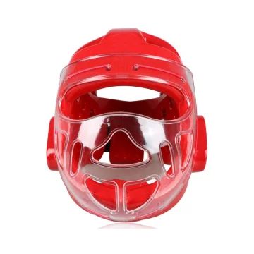 Head Guard